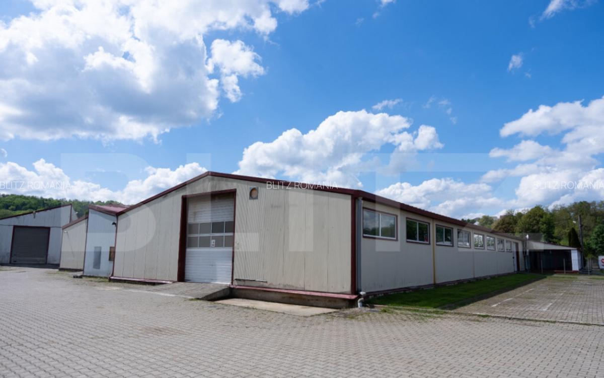 2 Hale+Birouri de inchiriat, acces tir, zona Scheia - 3