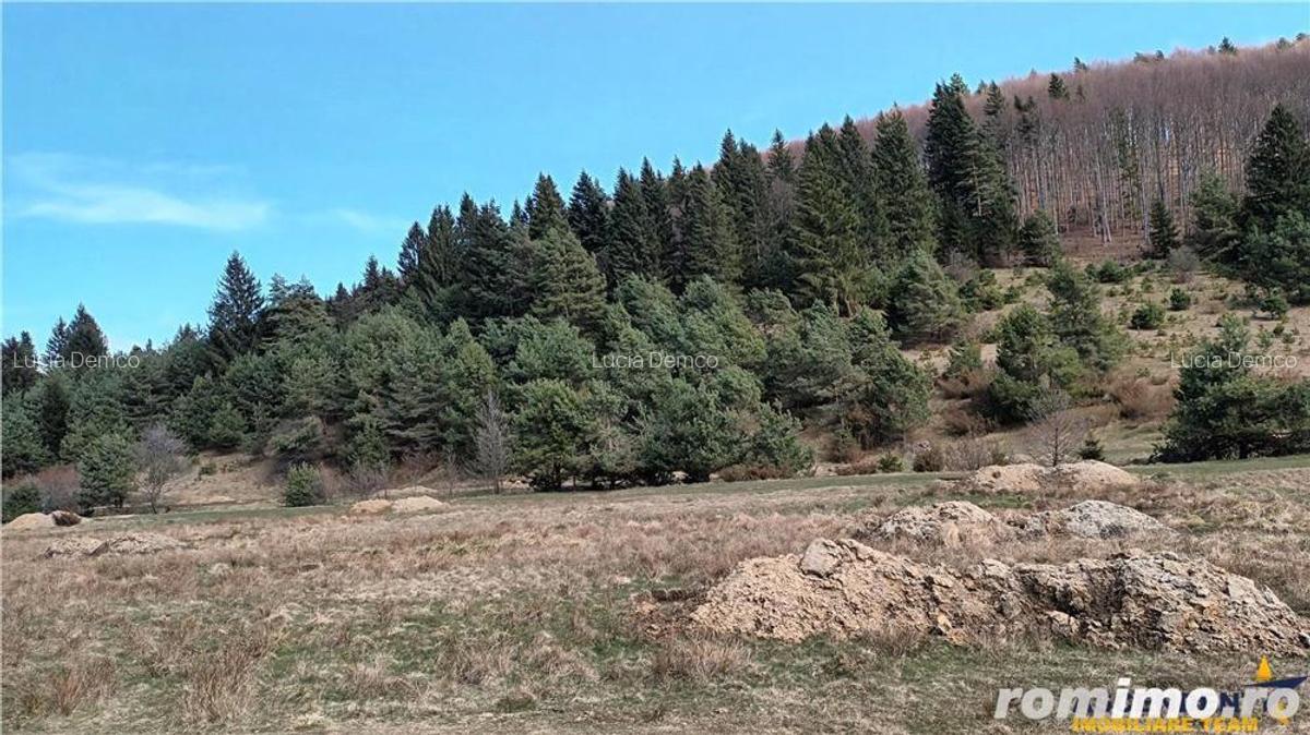 Teren cu ape curgatoare, in zona de poveste, Zarnesti - 6