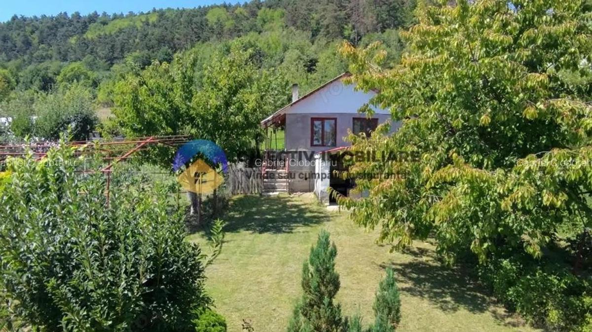 Casa + teren de vanzare - Garcina - 18