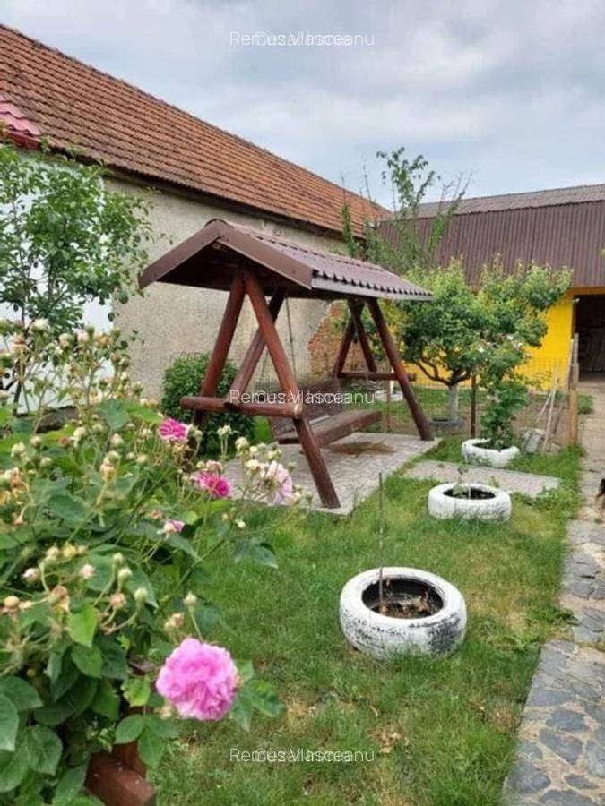 Vand casa 3 camere ARIUSD - 7