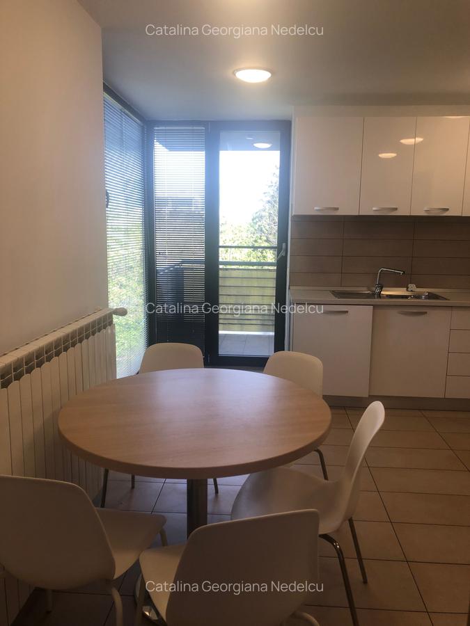 Primaverii,apartament 3 camere,193mp,parter,2 terase,3500Euro/luna+TVA - 15