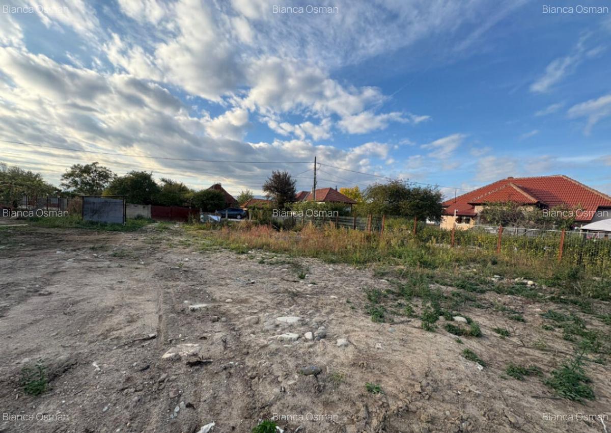 Teren 4449 mp cu utilitati, Curtisoara - la 13 km Tg. Jiu - 3