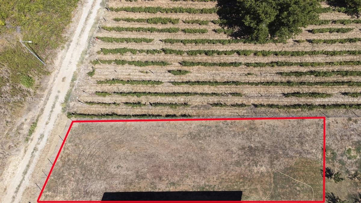 Teren de vanzare intravilan Carcea, 500 mp, toate utilitatile - 5