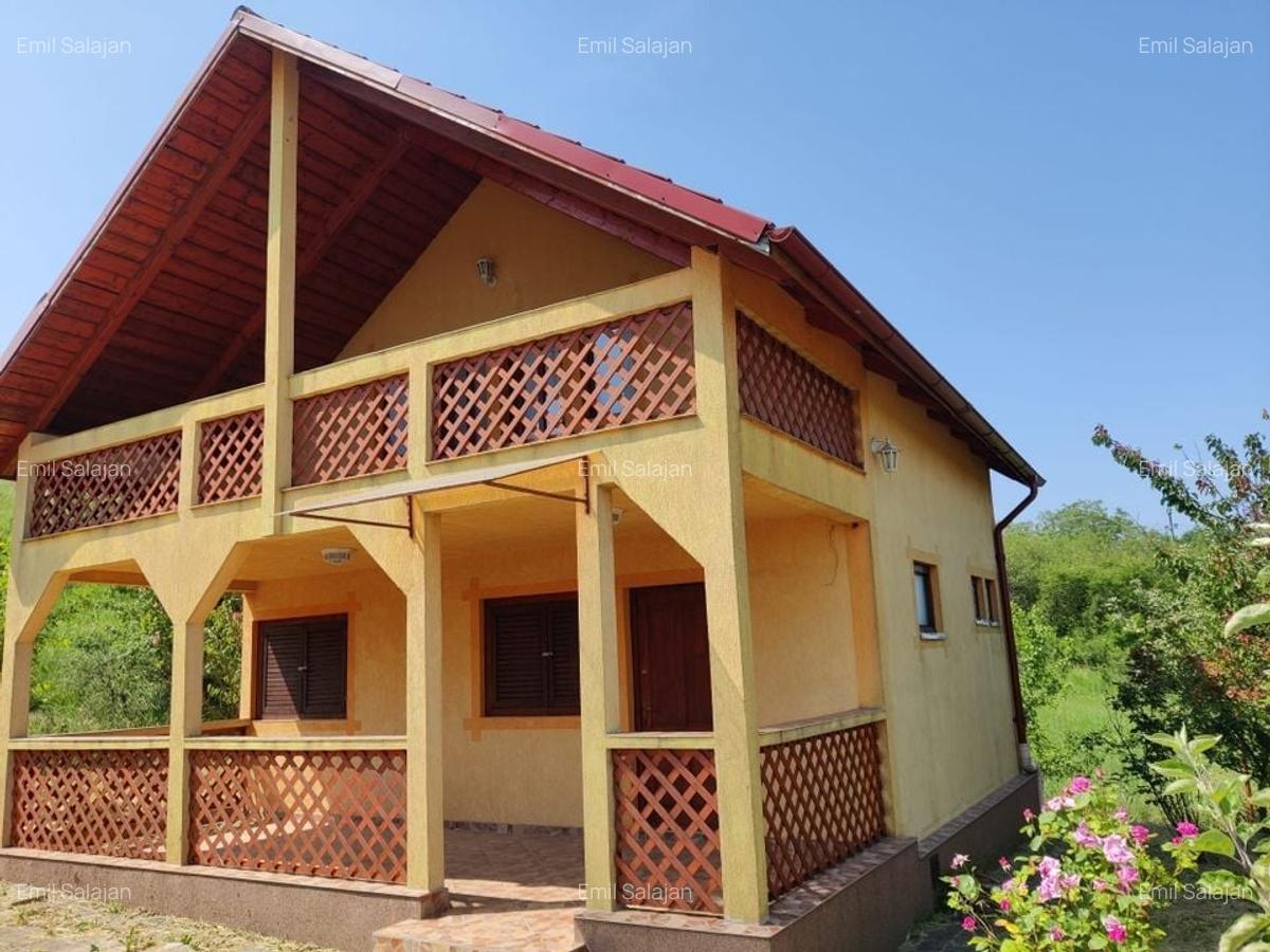 Casa individuala cu teren de 5000 mp, Deusu - 2