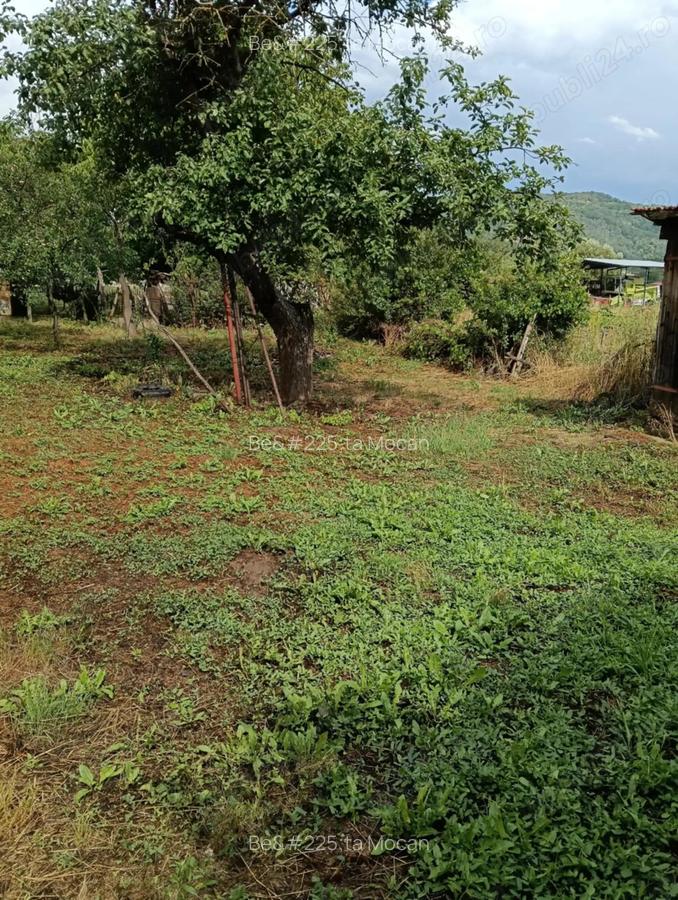 Vand Casa situat in Uleacu ?imleului - 7