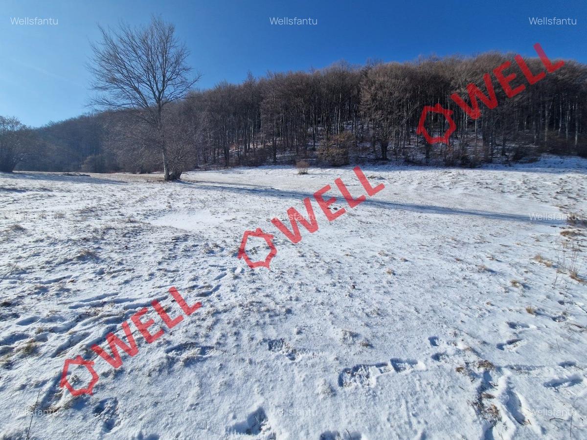 De vânzare teren extravilan în Vama Buzăului! - 3
