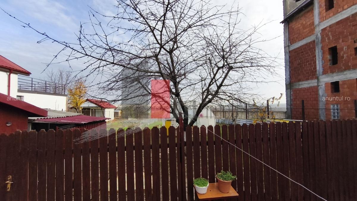 Manolache, casa curte cu teren 1600 mp - 13