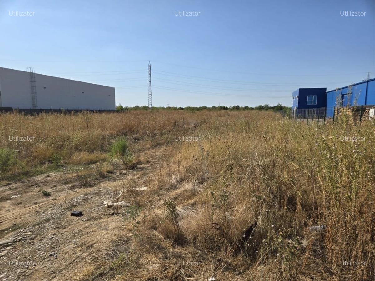 Teren 4000 mp Drumul intre Tarlale - 2