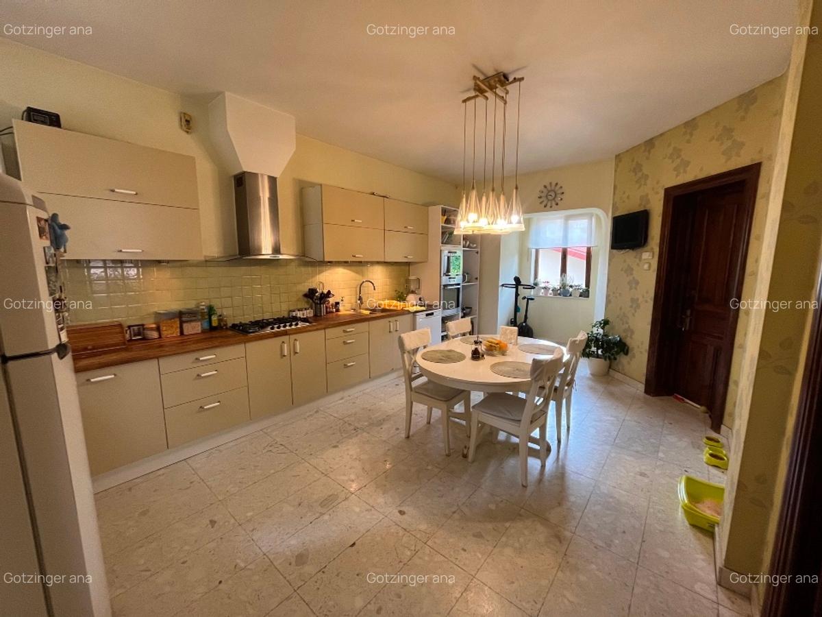 Apartament superb, tot  etajul 1+garsoniera Dorobanti, in vila cu curte si garaj - 4