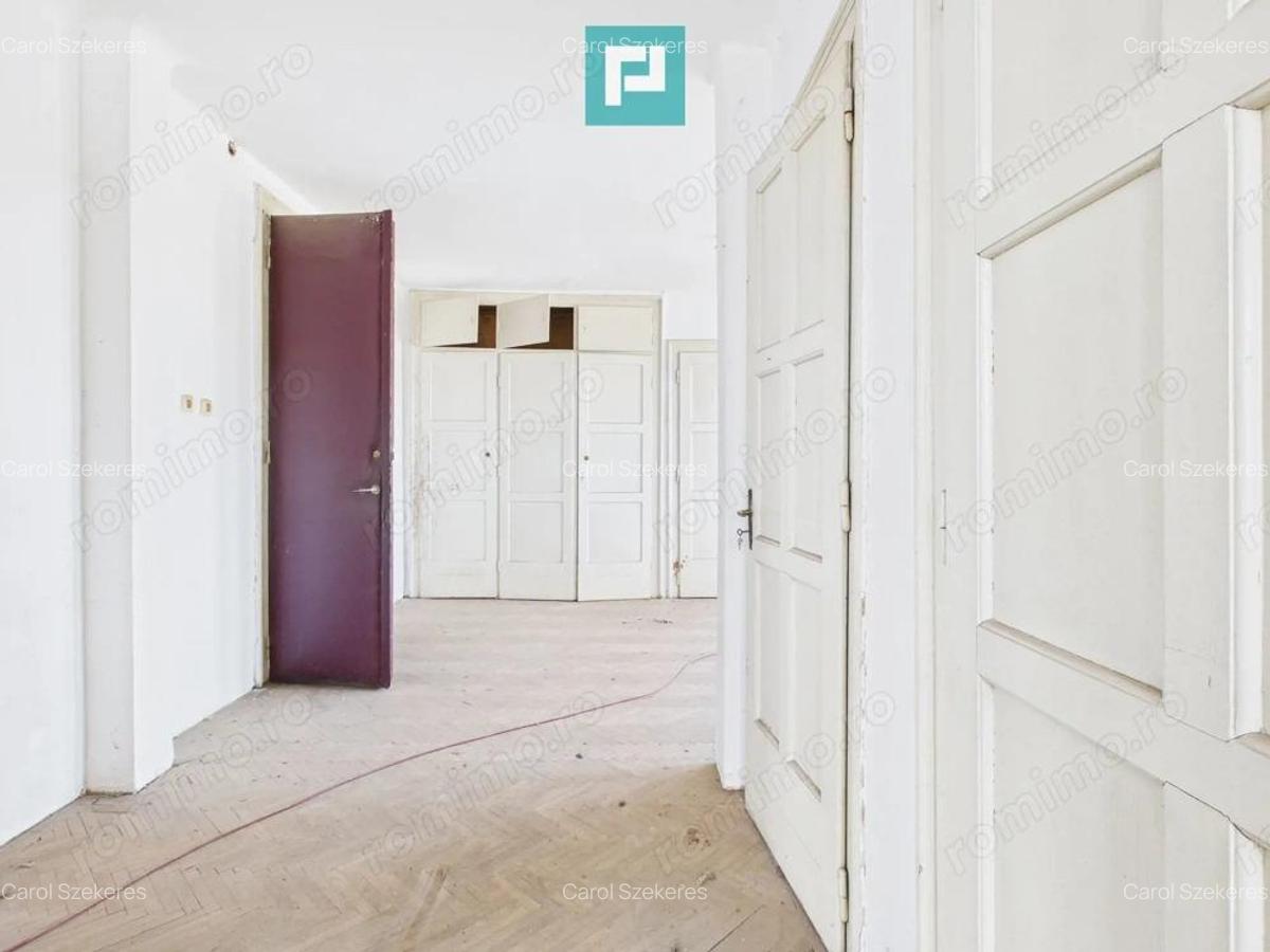 Vila deosebita cu caracter istoric in Periam - 9