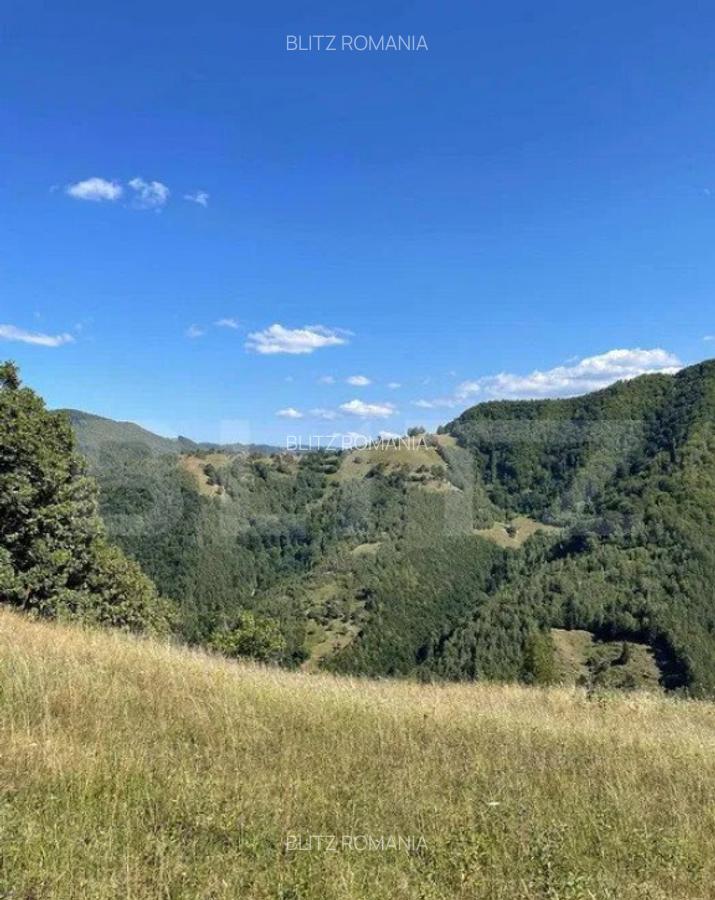 Teren intravilan in Martinie,Sugag - 2