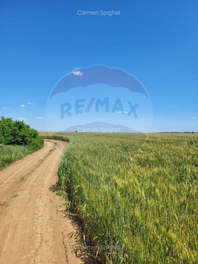 Teren intravilan 4,100 mp, fs 18 ml si 2222 mp fs 16 ml Peris IF - 2