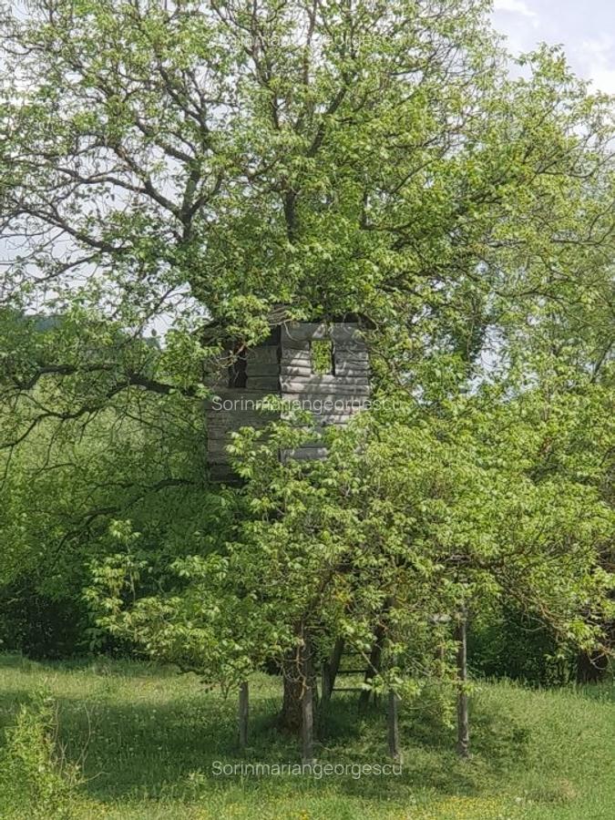 Teren Vanzare cu utilitati si acoperis - Optional rulota functionala - 7