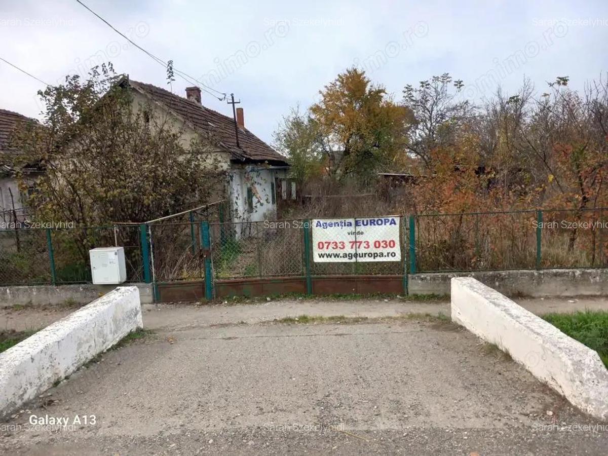 BRASADAS vinde casa individuala in Ardud langa SANTEC. - 1