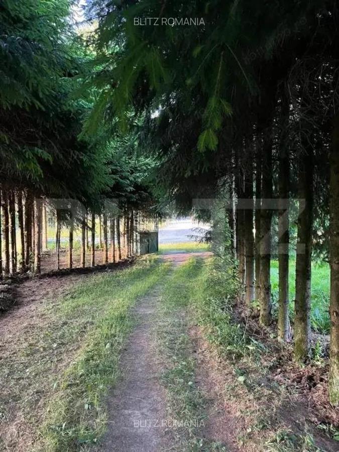 Casa deosebita in comuna Vidra, jud. Alba - 13