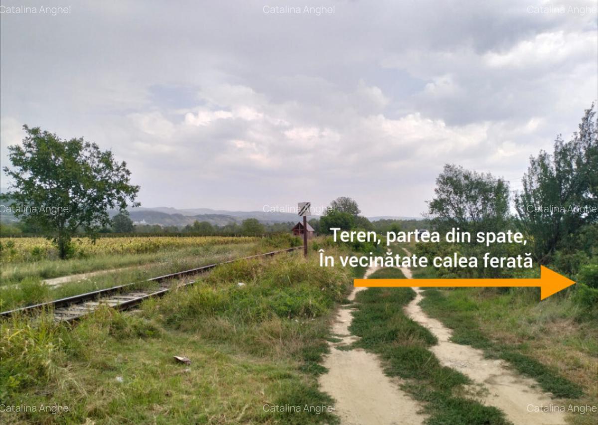 Oportunitate de investitie, teren intravilan, 6018 mp, Ungur - 5