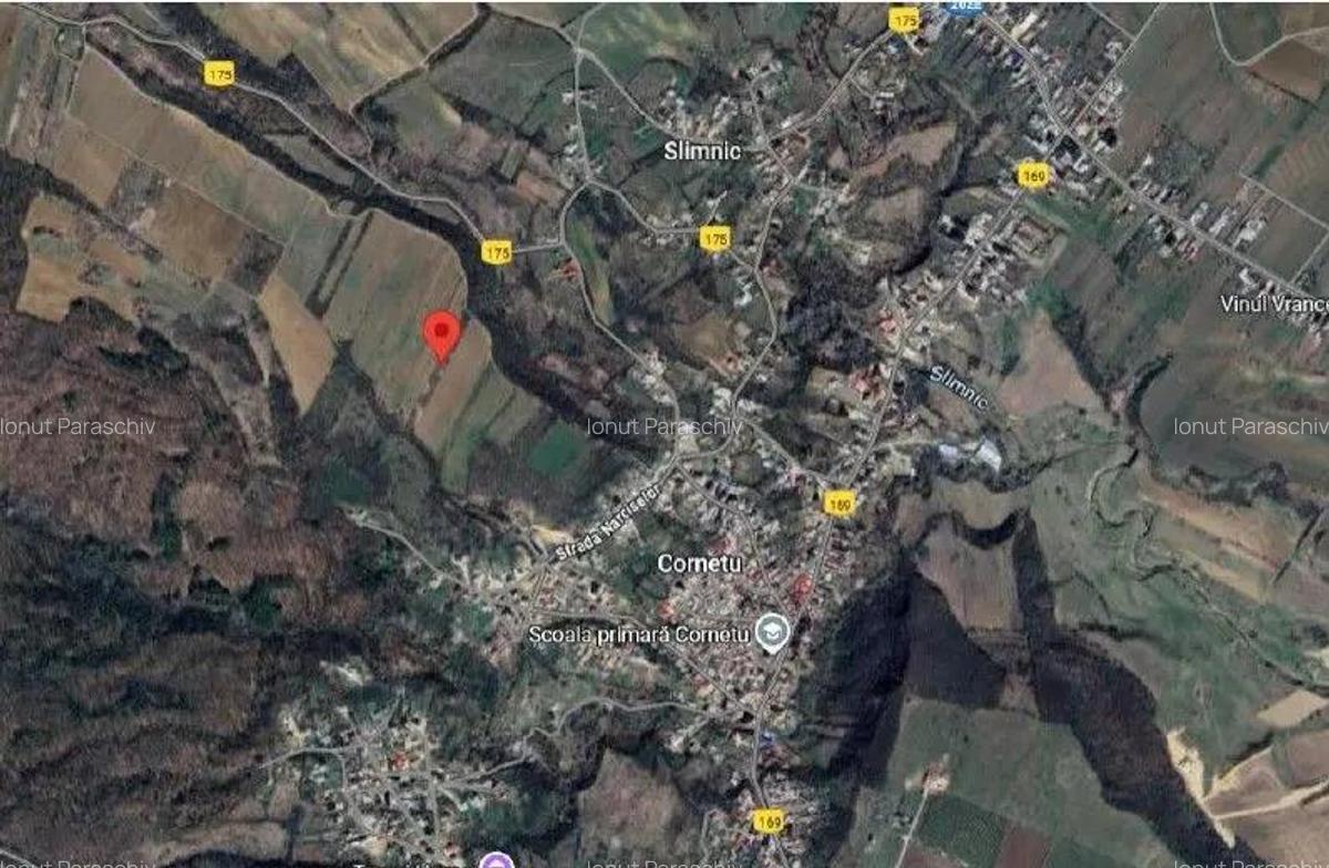 Teren extravilan Tamboesti ; ID: R2832805 - 8