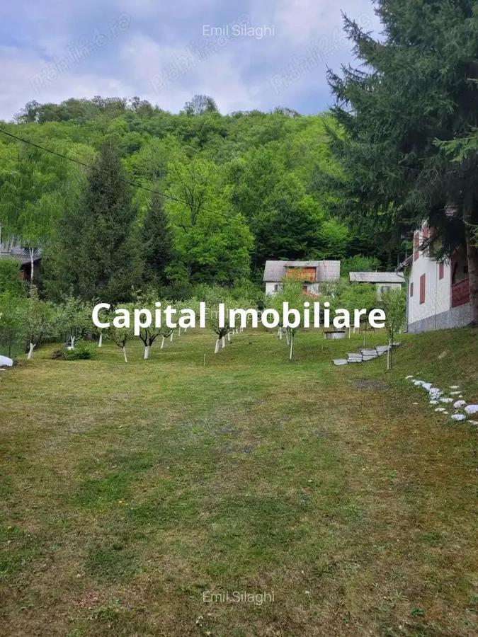 Proprietate Unica in Inima Naturii Galaoaia, Mure? - 3