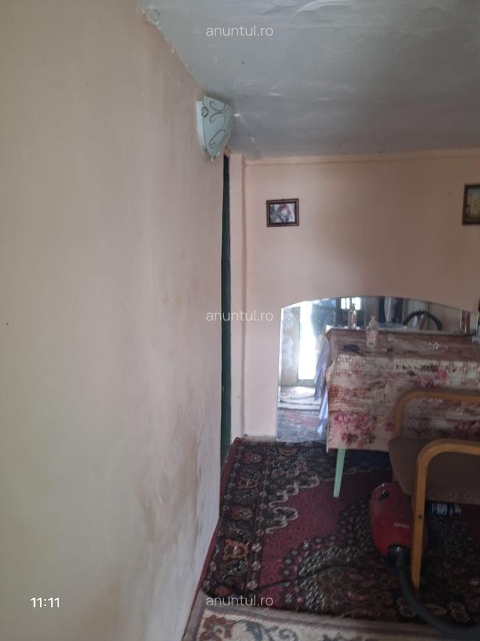 Vand casa teren 3000mp satul Gresia, Rosiorii de Vede, Teleorman - 6