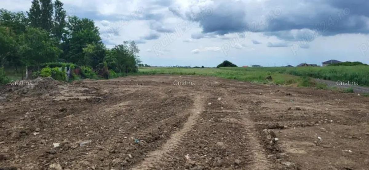 Sacalaz Teren cu autoriza?ie de construc?ie valabila 2.5 ani - 1