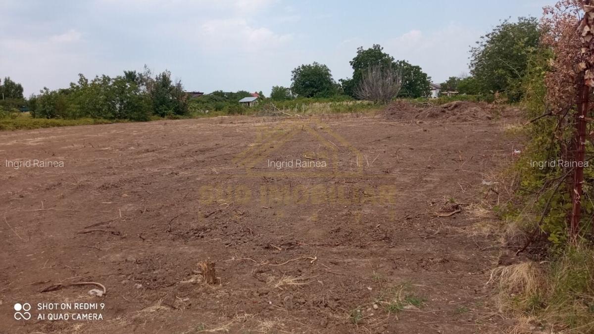 TEREN INTRAVILAN-2000 MP-STR SCOLII - 8