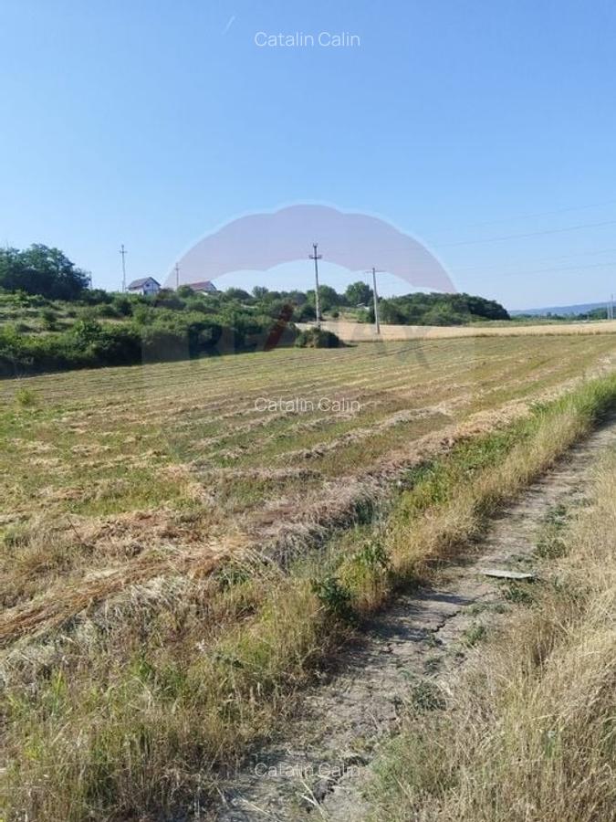 Teren 2,000mp Bradesti / None - 2