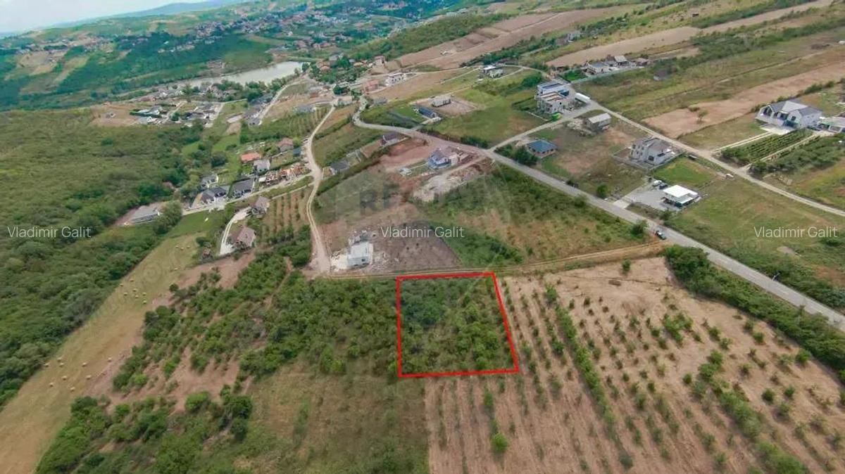 Teren intravilan 1,163mp de vanzare in Saldabagiu De Munte - 7