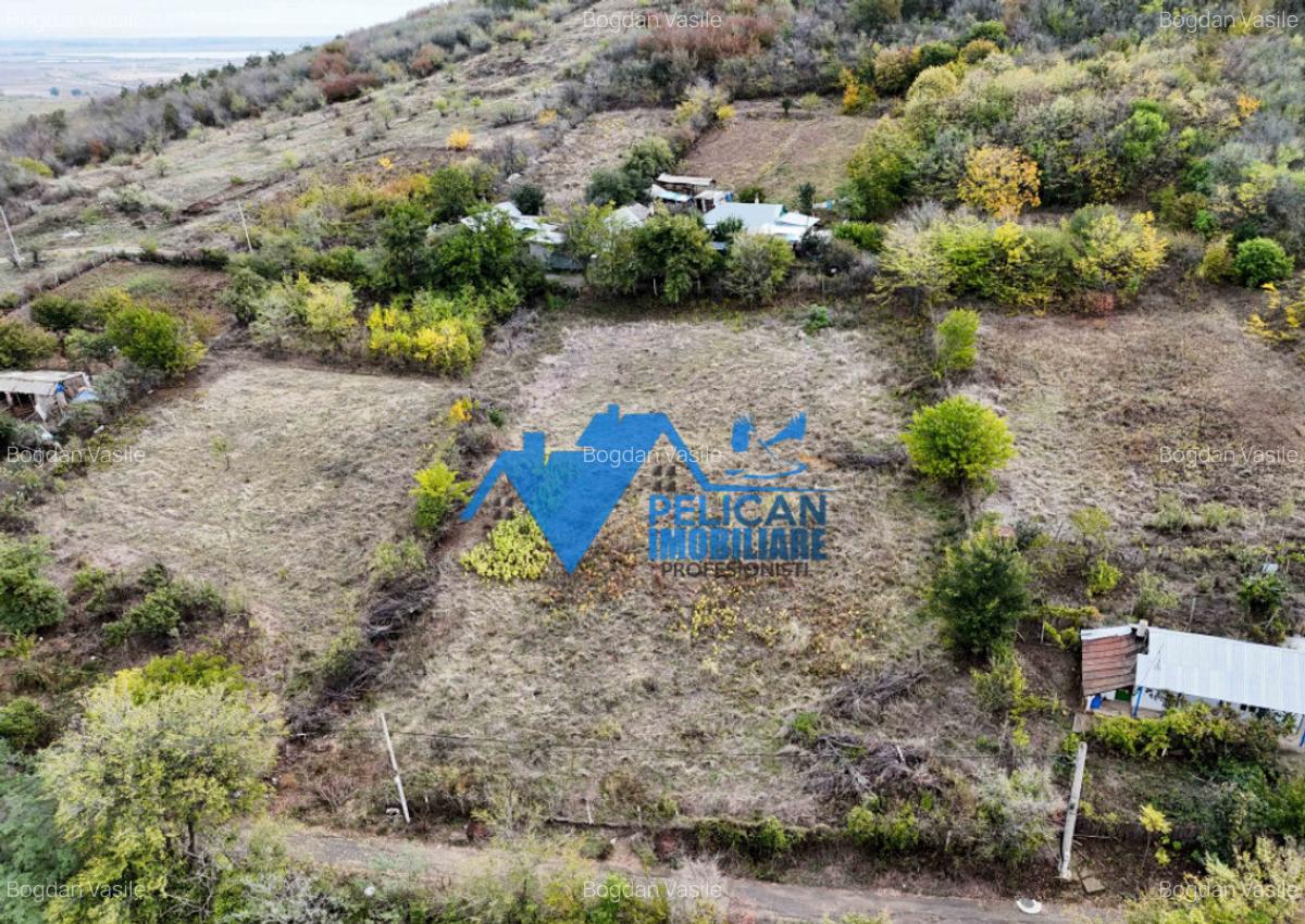 Teren intravilan NICULITEL, zona deosebita, 3044MP - 6