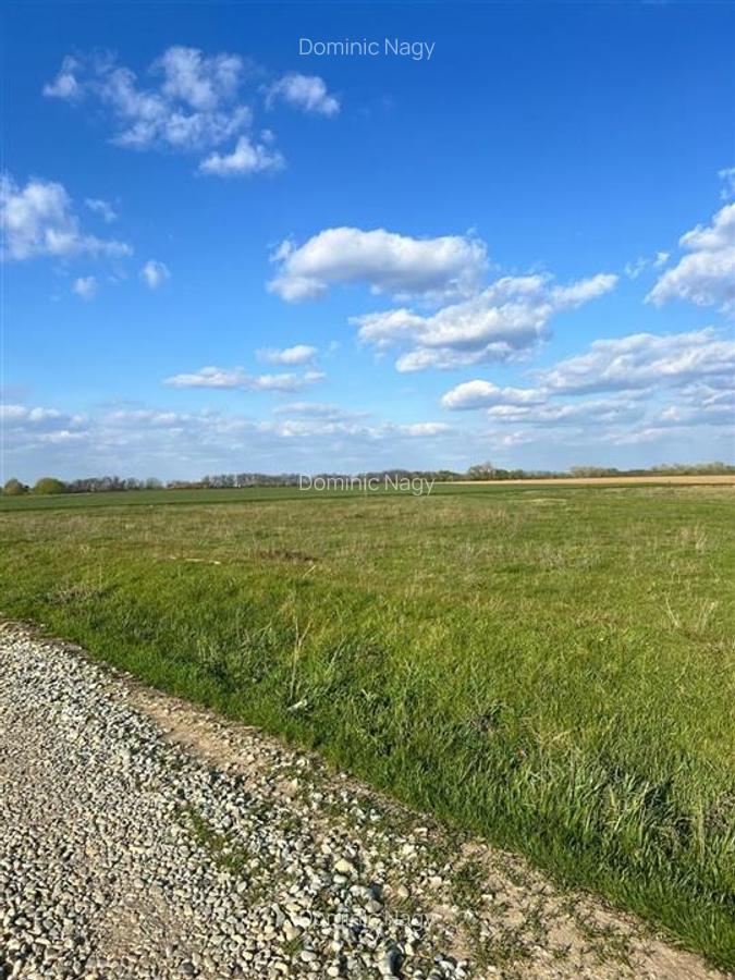 RECO teren de vanzare in zona Tarian - 2