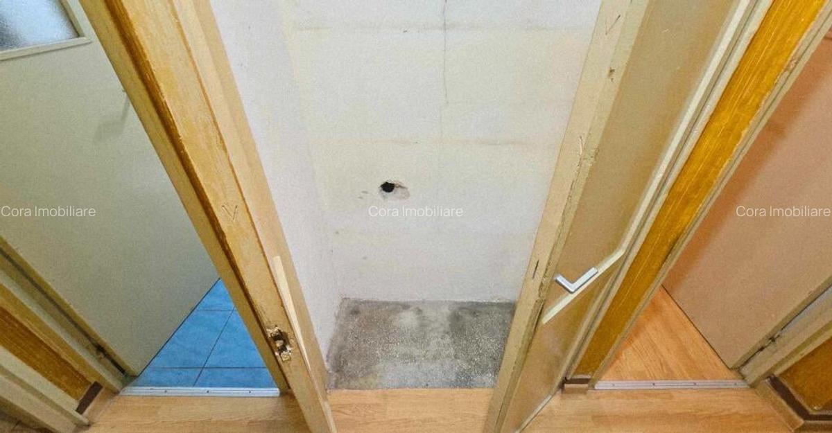 Ap 3 cam tip T de vanzare str Razboieni - 17