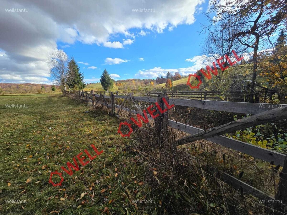 Teren de vânzare în Vama Buzăului, sat Buzaiel! - 5
