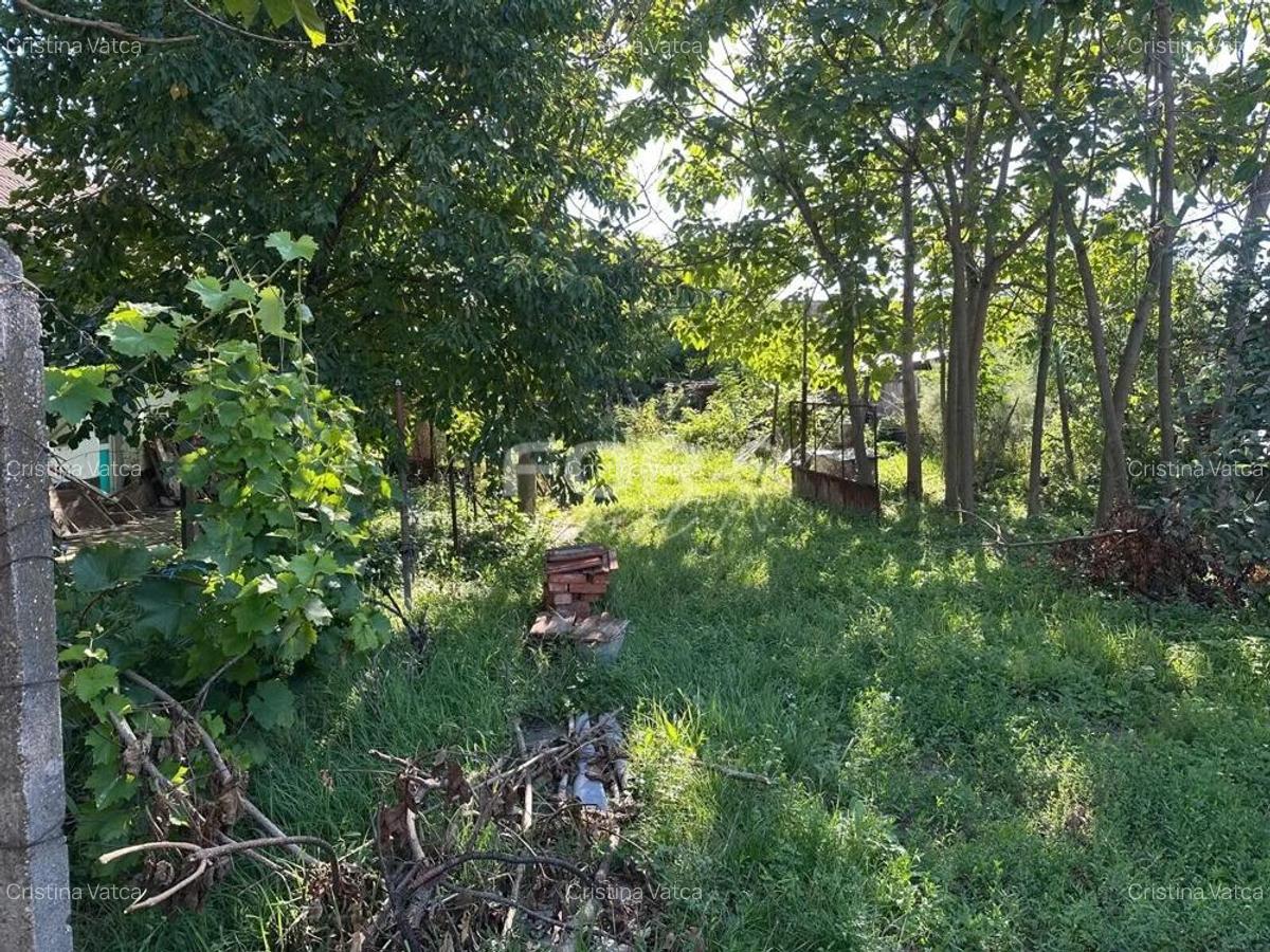 Teren intravilan de vanzare 3000 mp comuna Tamaseu Bihor - 5