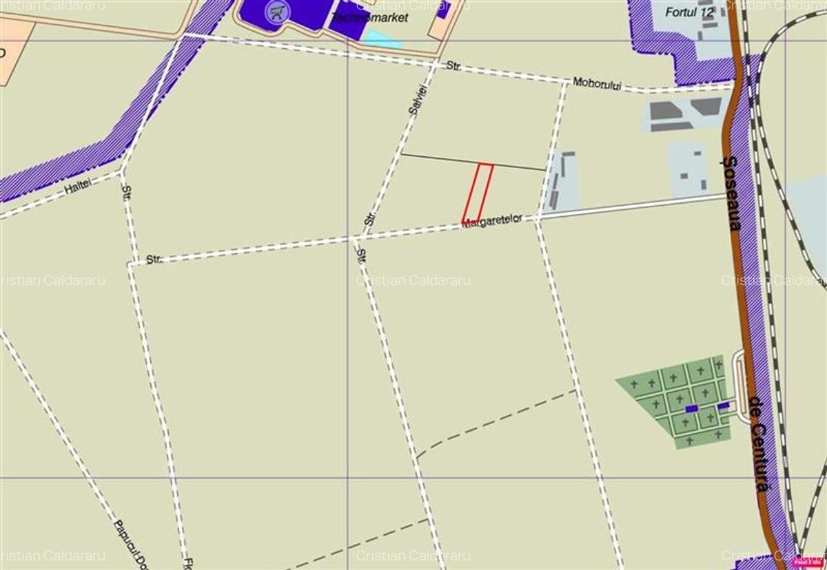 Vanzare teren Domnesti - Centura, ILFOV - 1