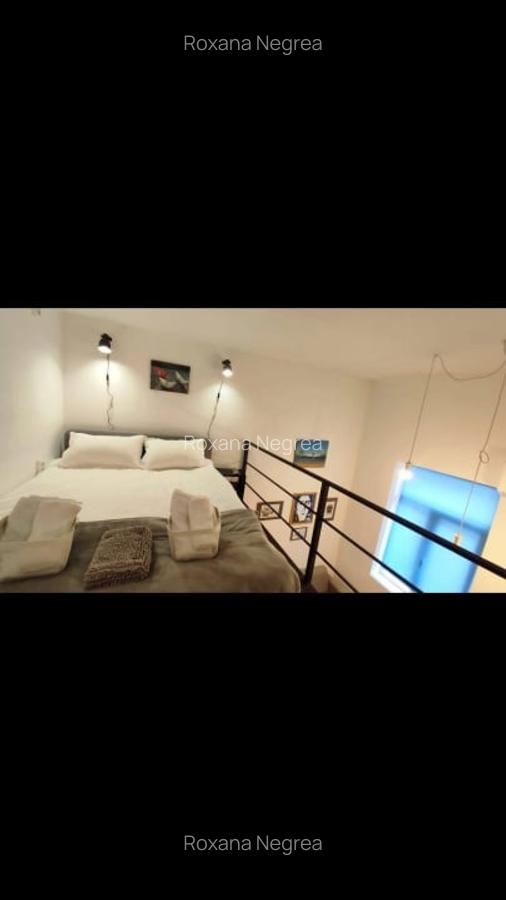 Apartament tip studio,in zona ultracentrala - 6