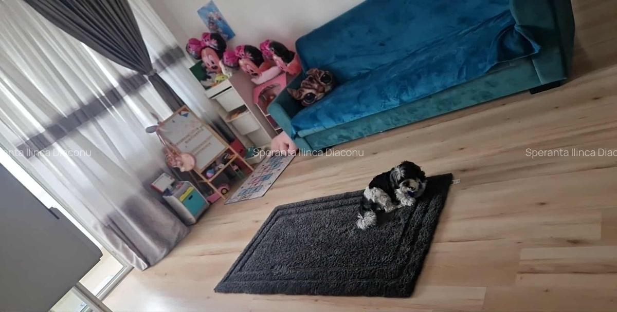 Apartament 2 camere Pantelimon / Carrefour / Parc - 1