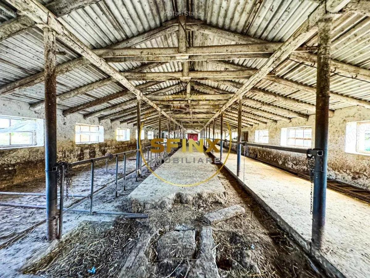 Teren intravilan cu potential de investitie 62000mp - 5