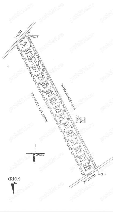 Domnesti Teghes - teren de vanzare parcelat - 10.000mp cu deschidere la padure - 3