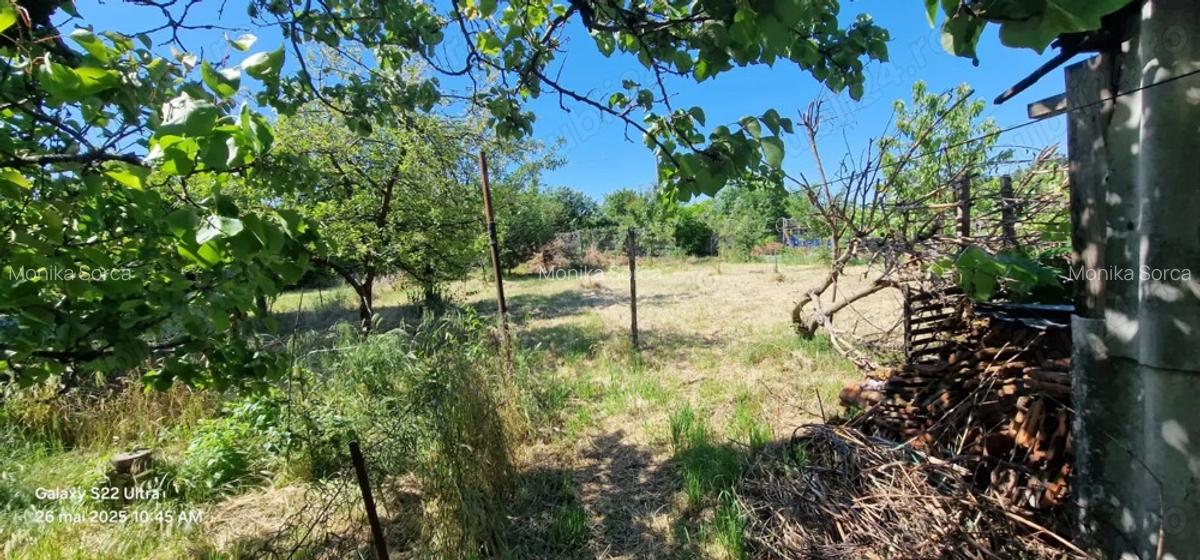 Casa confec?ii silvas - 5