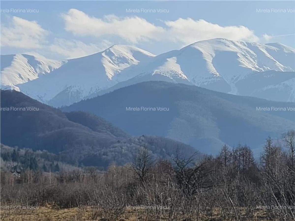 Teren Construcții intravilan de 2500 mp, în Porumbacu de Jos - 12