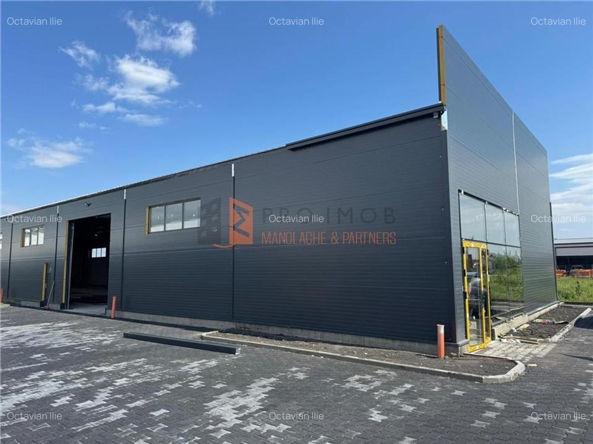 Hale Industriale zona sos. Spatarului - 3