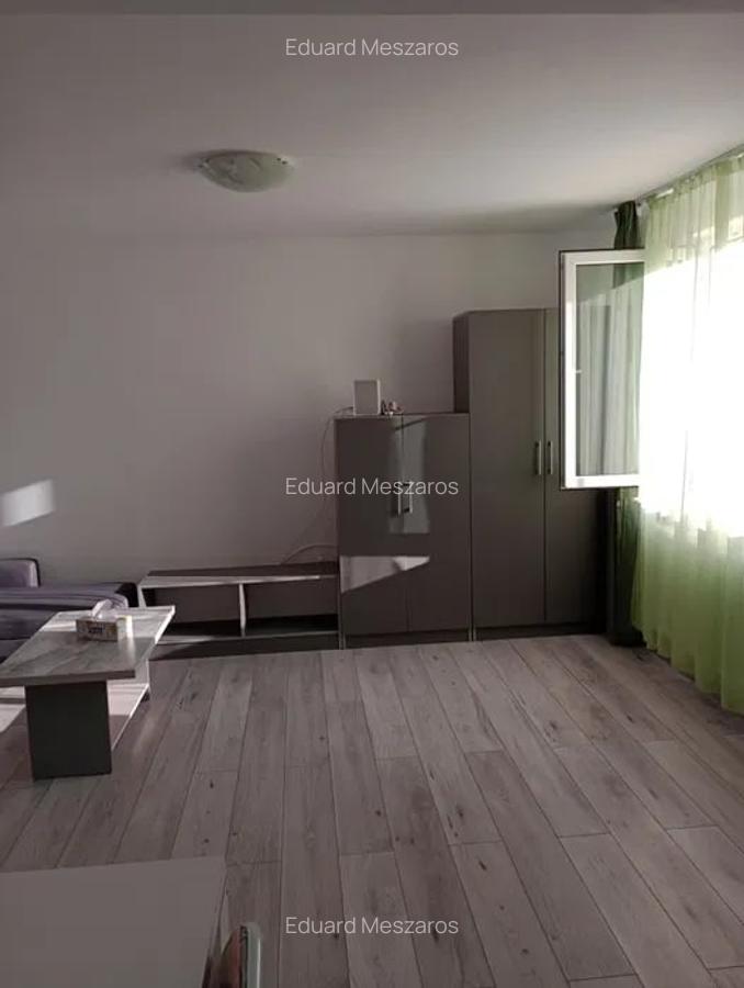 Apartament 1 camera, cu parcare inclusa, zona Cetatii - 3