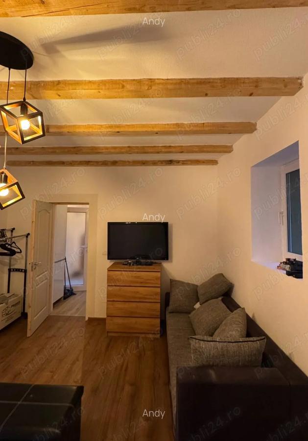 Proprietar vand Casa Sasca Montana - 8