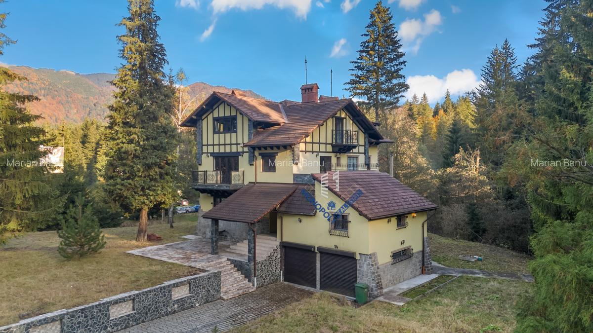 Proprietate cu potențial uriaș - Timișul de Sus - Brașov - 3