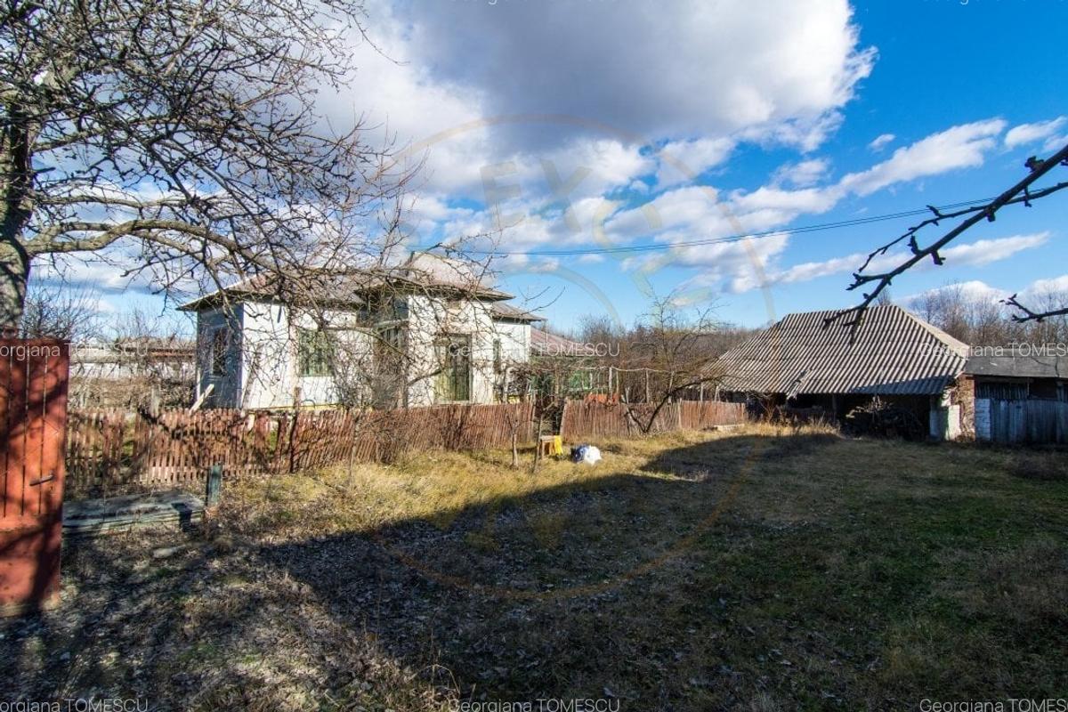 Casa traditionala argeseana - comuna Vedea, jud. Arges - 5