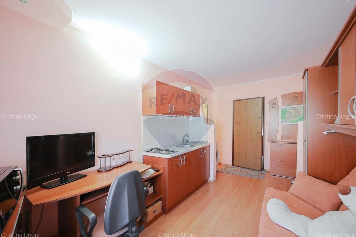 Apartament cu 3 camere + garsoniera de vanzare in zona Decebal - 12