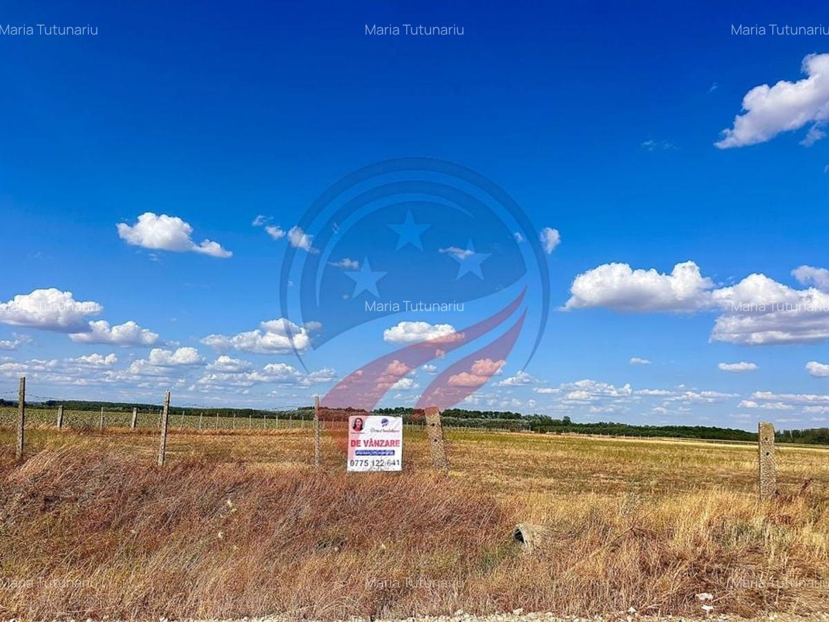 Teren 30.500 mp de vanzare in Livezi, Dolj - 4