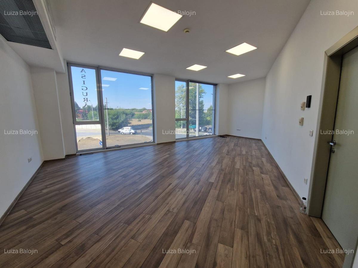 Spatiu cu alta destinatie Lipovei !!! - 1