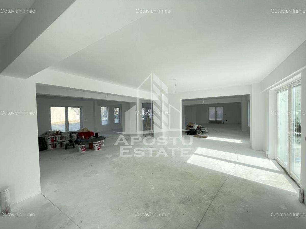 Spațiu comercial, 238 mp în Lipovei - 3