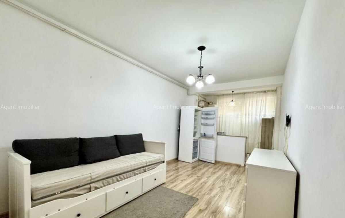 Dimitrie leonida demisol studio pet friendly - 3