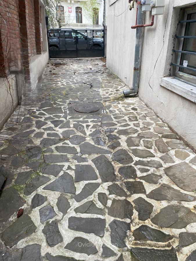 **? Spațiu Comercial Elegant în Vilă Interbelică – Dorobanți! ?** - 18